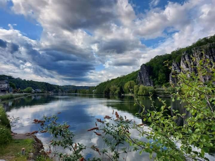 Maison Et Velos A Godinne Dans La Vallee De La Meuse Екстериор снимка